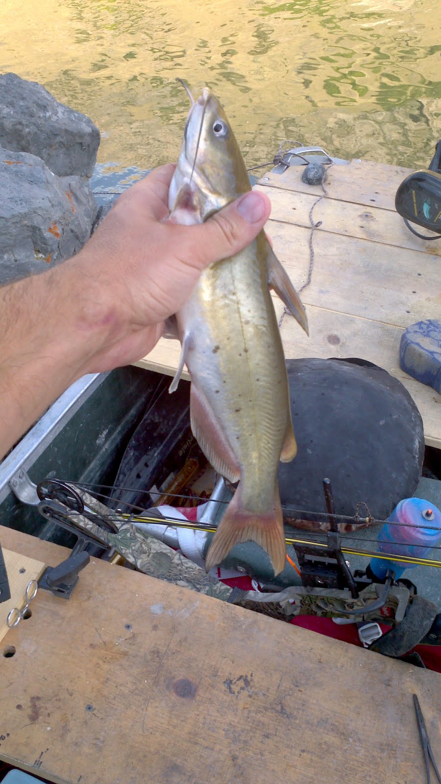 Bama Boy's Fishing Adventures July 3 & 4th, Cutler Reservoir