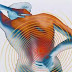 Os Cuidados com o Sistema Locomotor