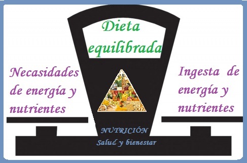 Alimentacion suficiente completa armonica adecuada