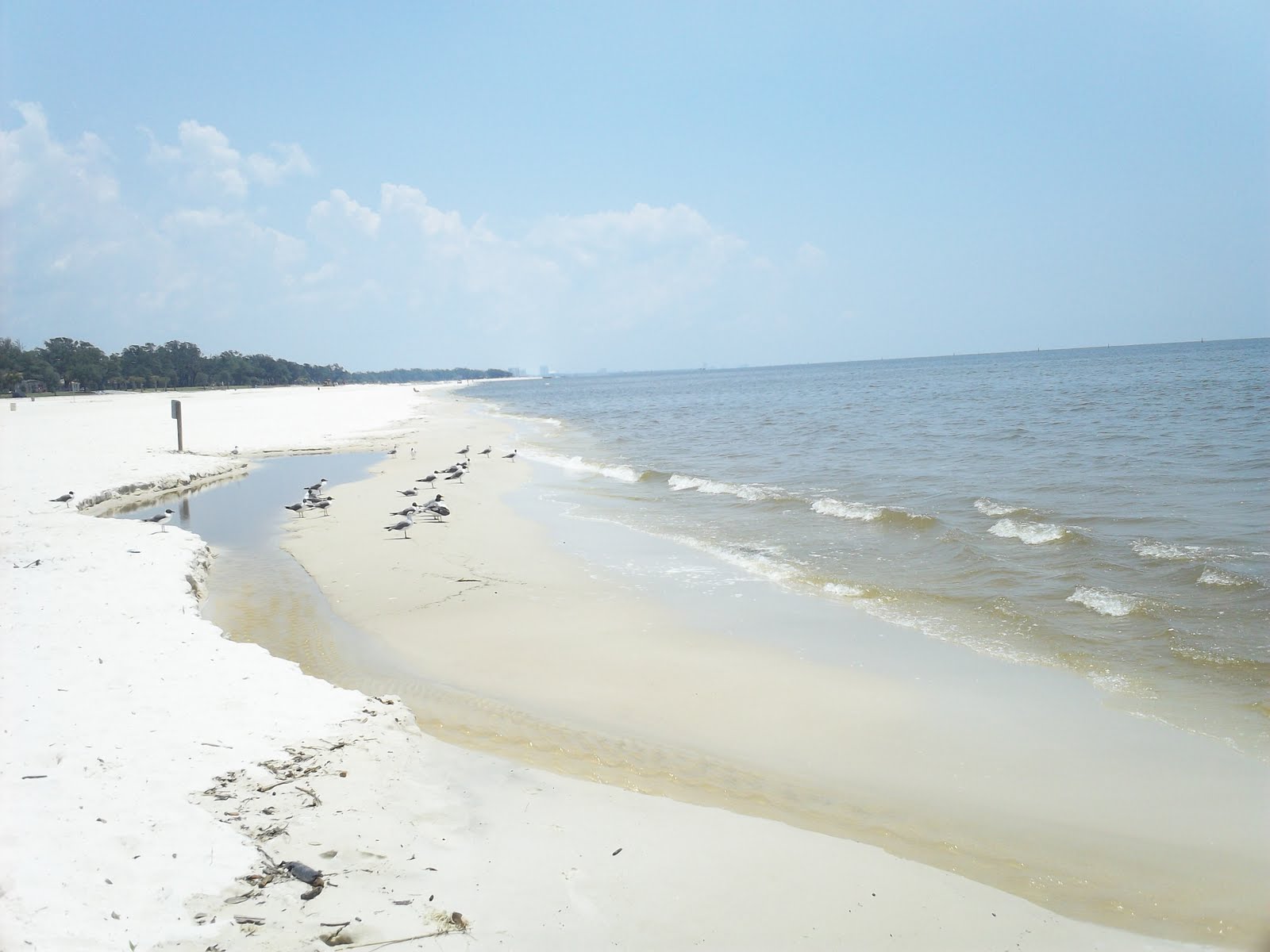 Footloose in America! Chapter V Covering the 50 States (Part I)