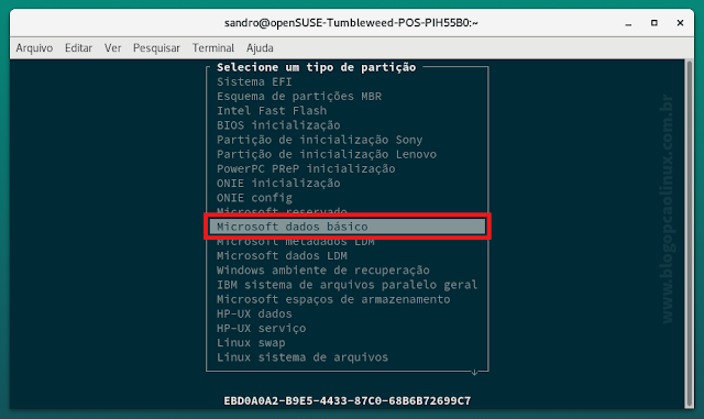 Escolha a opção "Microsoft dados básico" e tecle Enter Escolha a opção "Microsoft dados básico" e tecle Enter