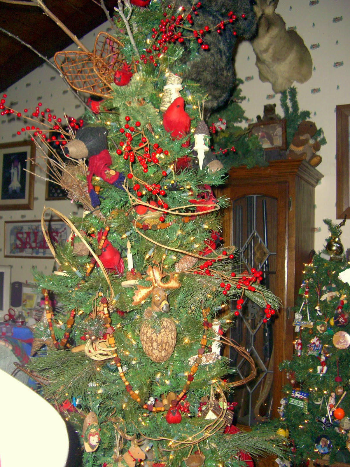 House full of Christmas trees