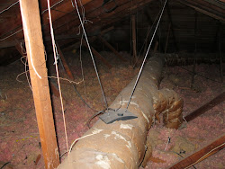 anyone know why  there might be rabbit ears in the attic?