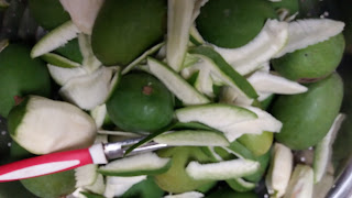 https://www.indian-recipes-4you.com/2018/05/mango-water-pickle-recipe.html