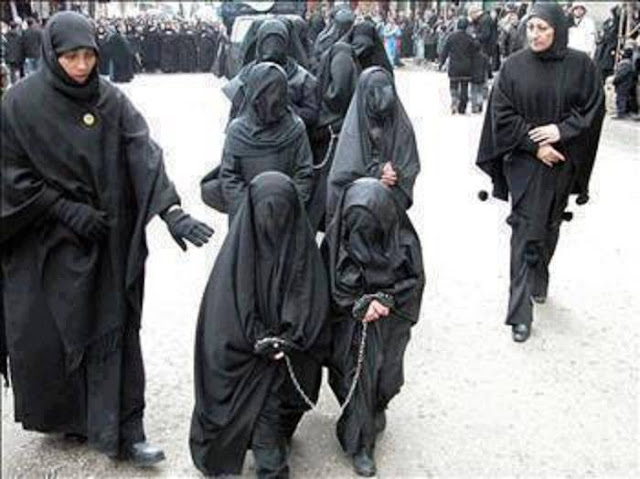 the status of the arab and muslim minority in the united states the status of the arab and muslim minority in the united states