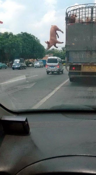 Imagen 0