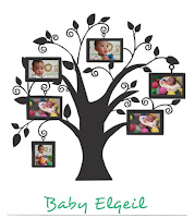 Elqeil 4