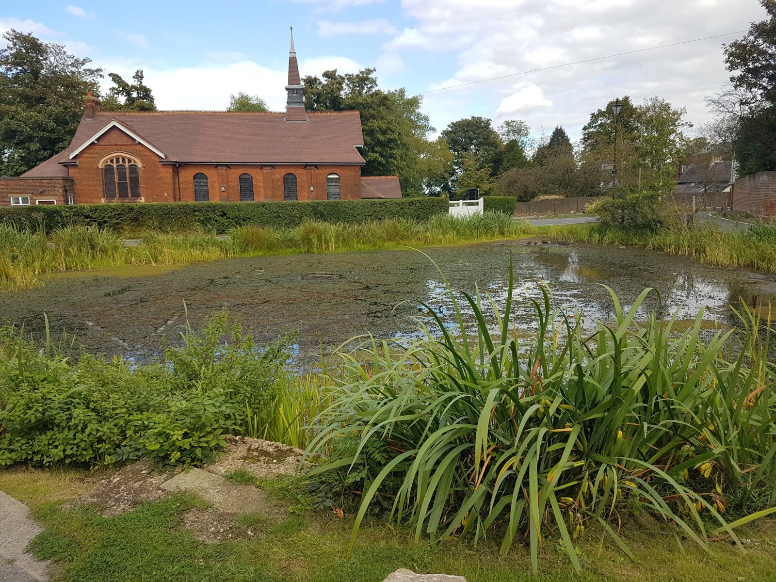 A Better Mill Hill Mill Hill Focus 25 Mill Hill Broadway Special