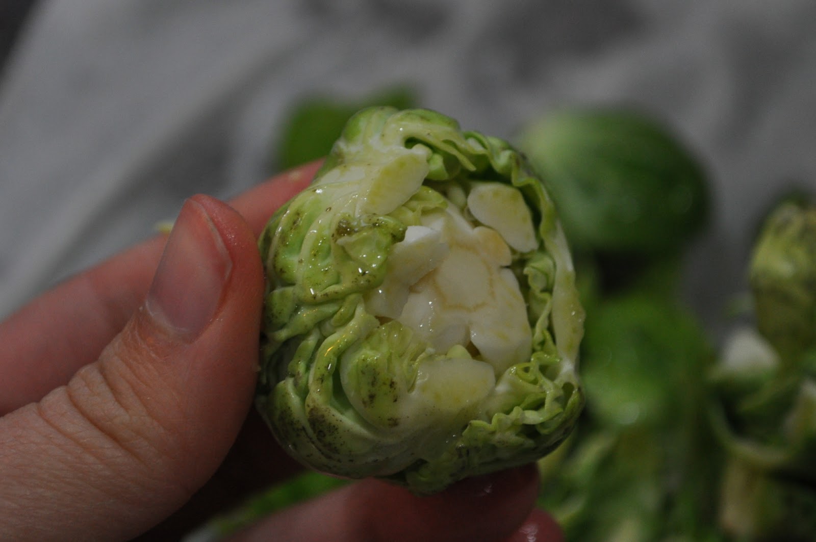 Teacher, Baker, Gourmet Meal Maker Brussels Sprouts Braised in White