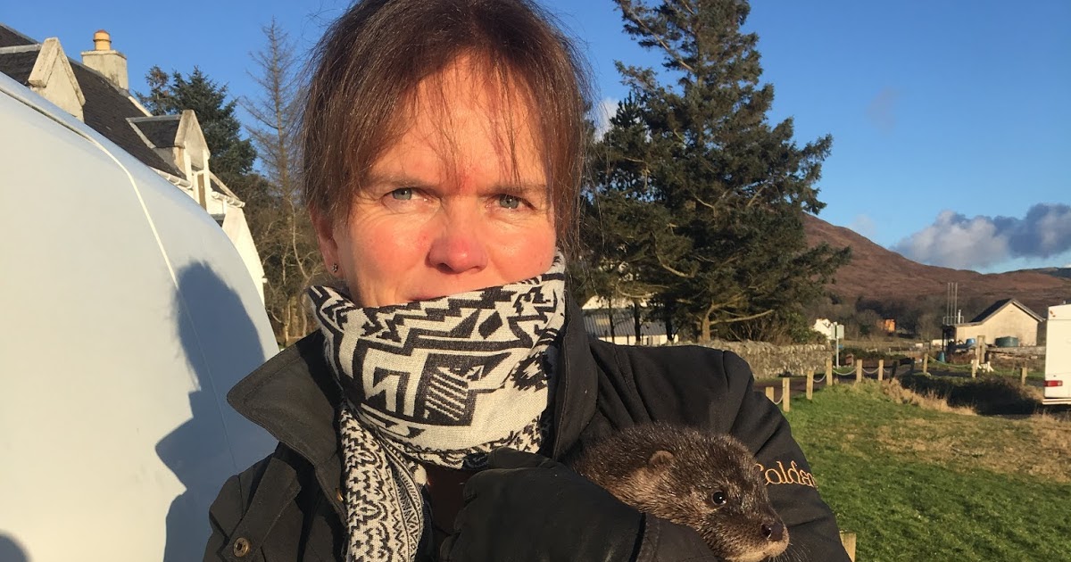 CraigardCroft Orphan otter cub rescue on Boxing Day.