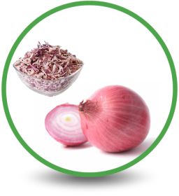 Manufacturers of Dehydrated Red Onions Products