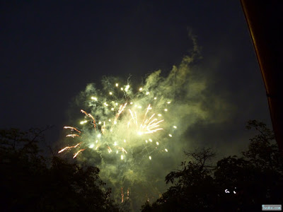 天神祭花火 天神祭花火
