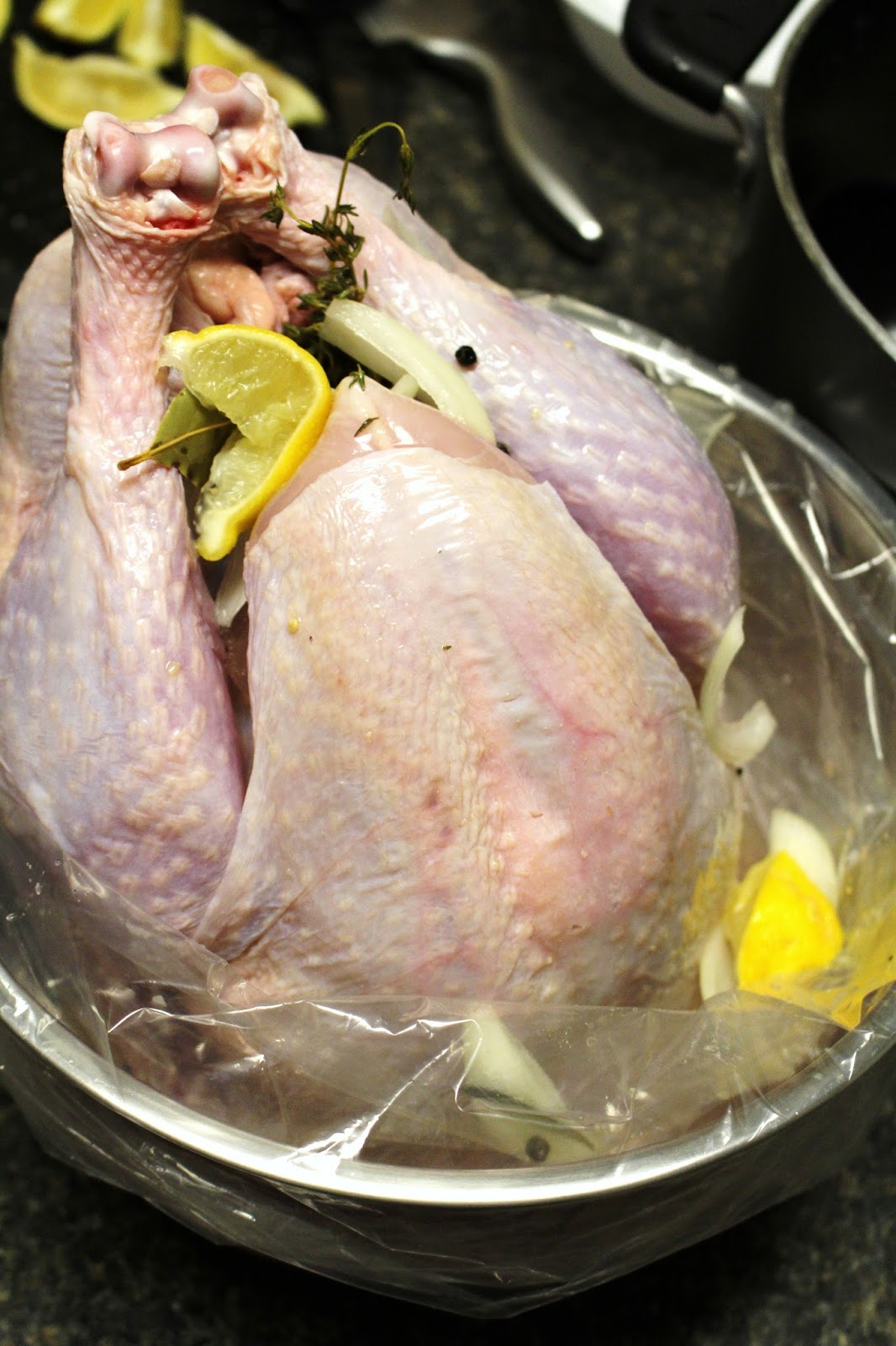 Ooh! That Looks Good! turkey part deux wineing it up!