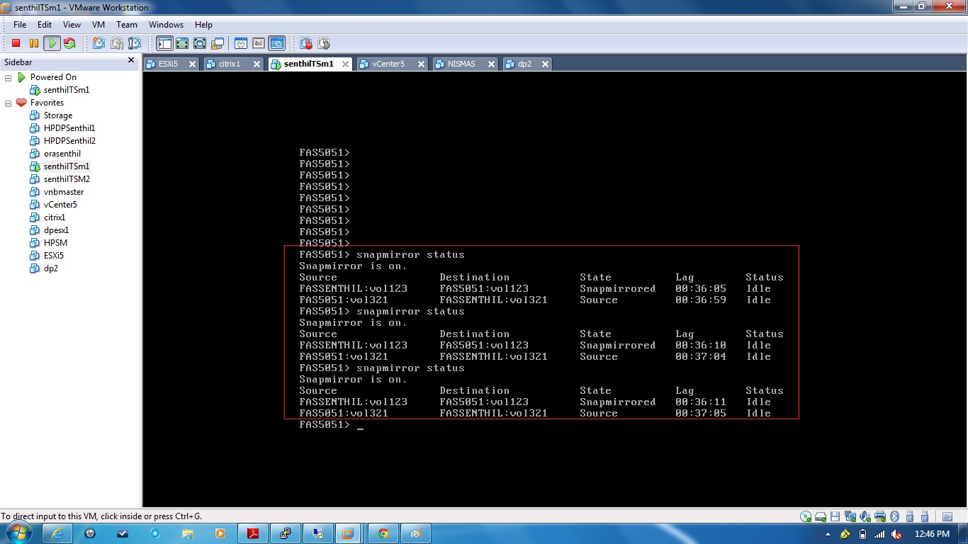 Remote Infrastructure Management NetApp Snapmirror Tutorial