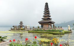 Kiat Mudah Mendapatkan Airport Transfer Bali dengan Pelayanan Terbaik