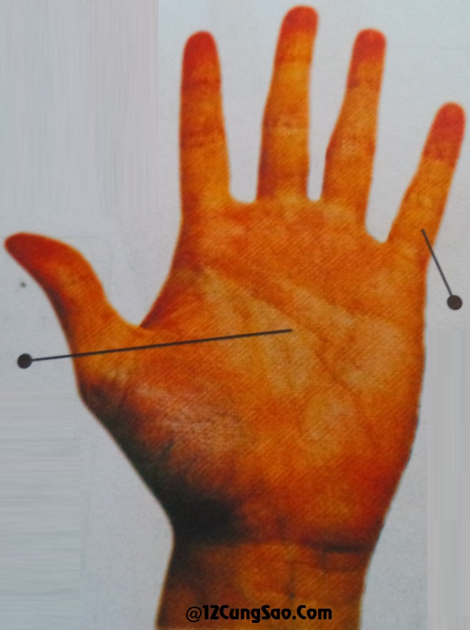 Bàn tay hình Hỏa & xem tướng số của bàn tay này!