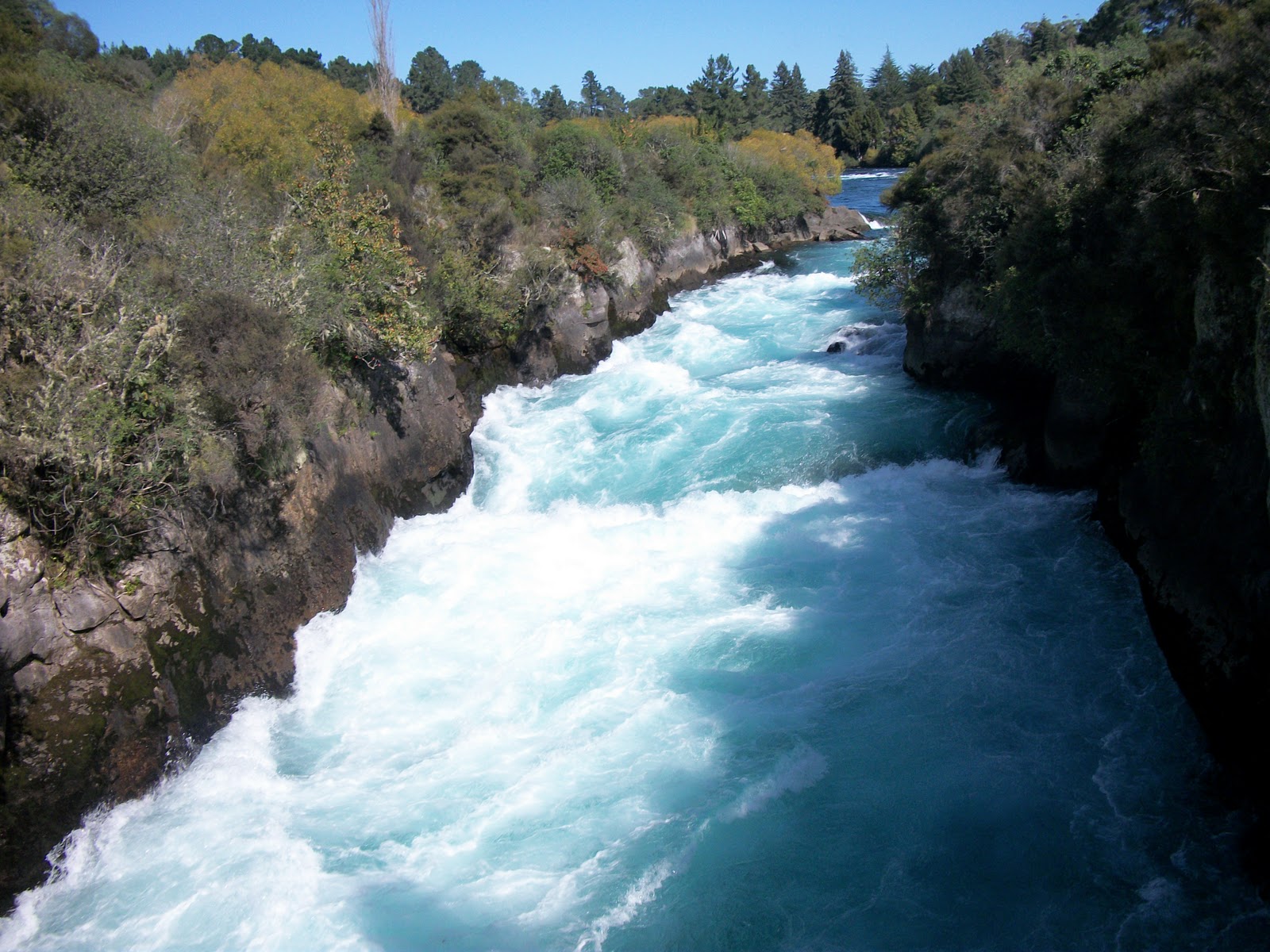 Film Guru Lad Goes to New Zealand Taupo