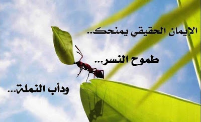 عبارات عن النجاح والطموح عبارات عن النجاح والطموح