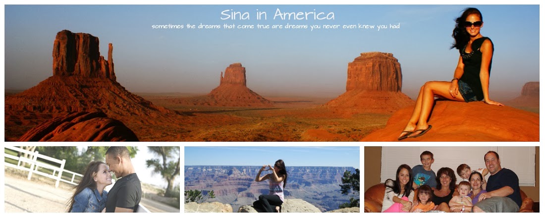 Sina in America