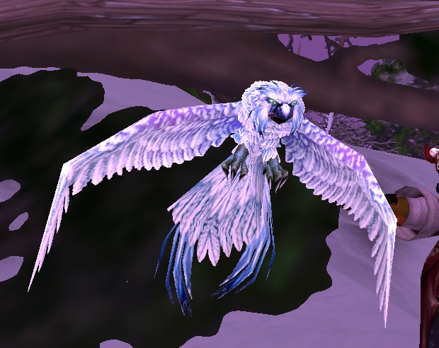 Alludra's Pet Guide: 2012