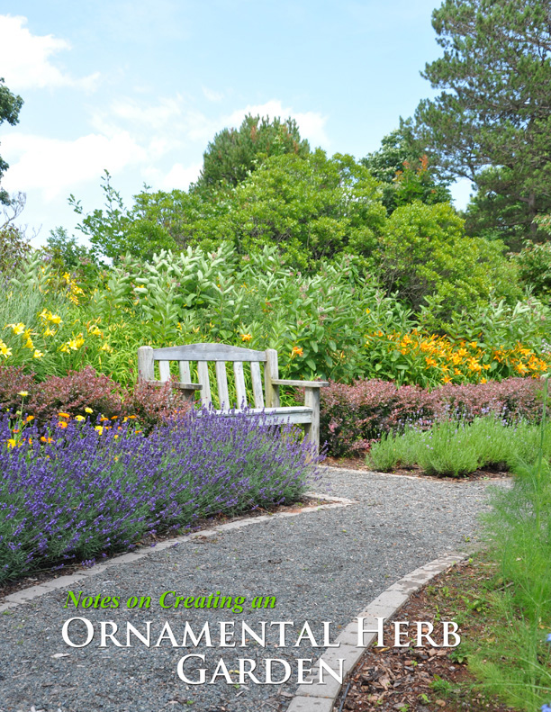 Three Dogs in a Garden Creating An Ornamental Herb Garden