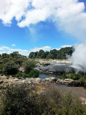 Geyser in a thermal area.