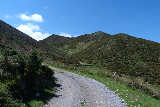Pista por La Sierra de Pesquerín Pista por La Sierra de Pesquerín