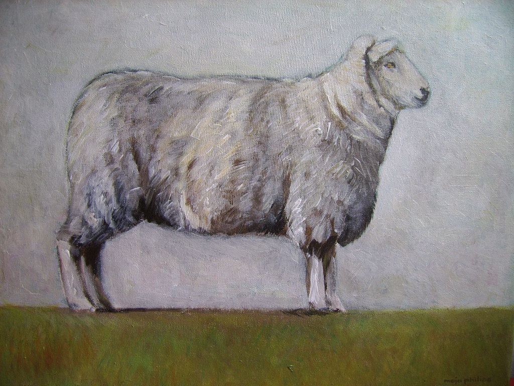 Maja Philips: Schapen