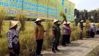 PANEN PERDANA PADI VARIETAS INPAGO DI DESA BLIMBING