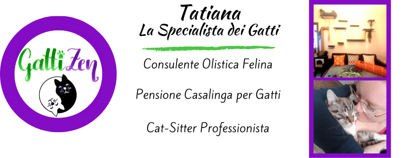 GattiZen CatSitter, Pensione per Gatti, Consulente