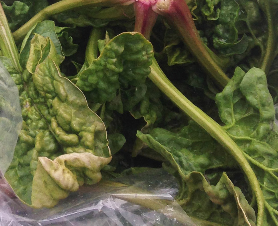 אין מױל ארײן Spinach with Pumpkin seeds Vegan Passover