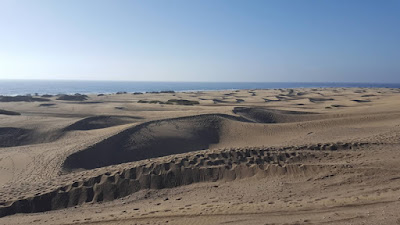 Dune Maspalomas
