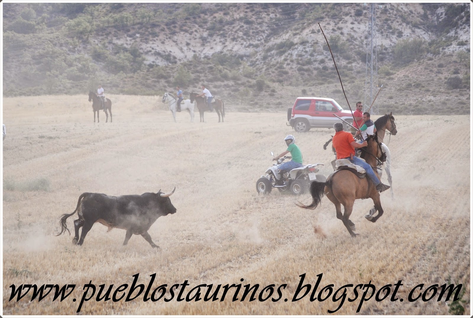 pueblostaurinos Aranzueque encierro campero 30/8/2014