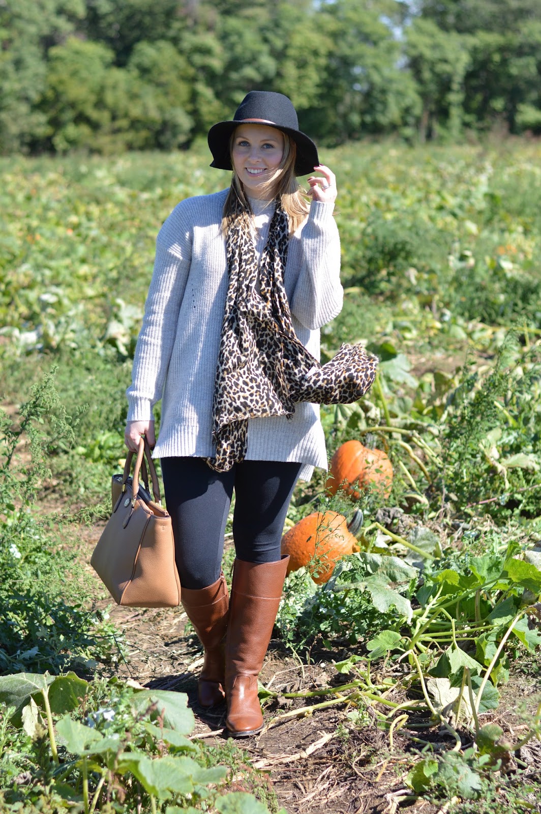 friendly pumpkin patch a s moment sunday at the pumpkin patch friendly pumpkin patch a s moment sunday at the pumpkin patch
