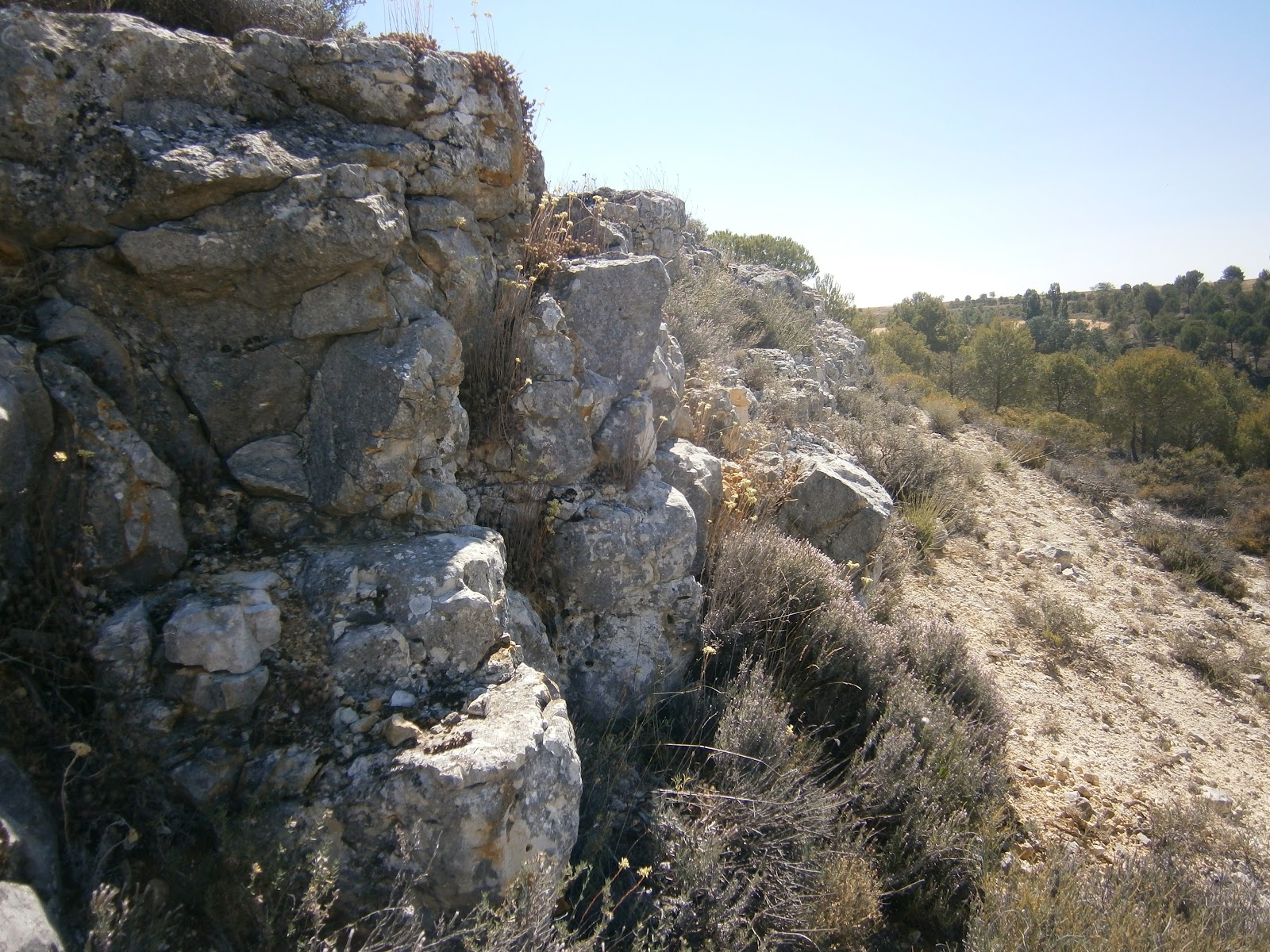 Diversidad y Entorno VALLE DEL RÍO BAJOZ (VALLADOLID, ESPAÑA)