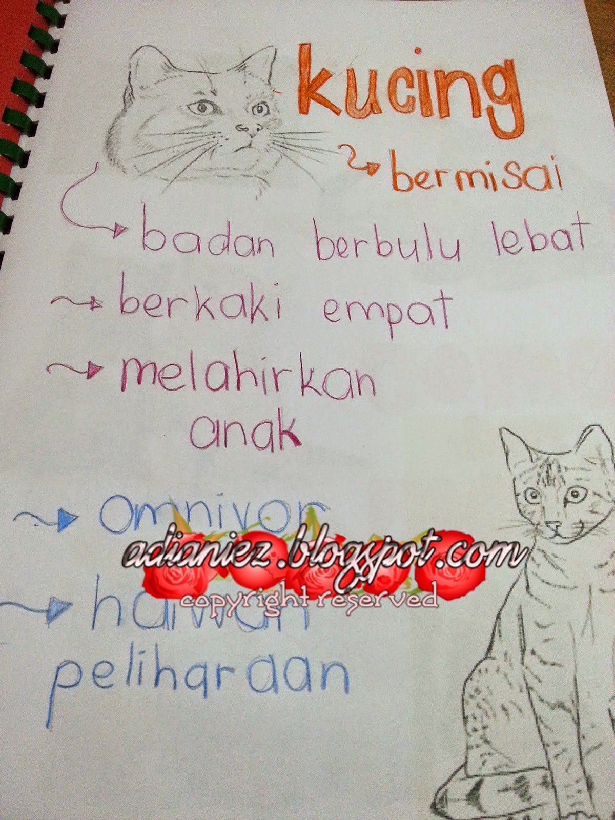 MARI KITA BUAT BUKU SKRAP ~ HAIWAN :-) PROJEK IBU & ANAK