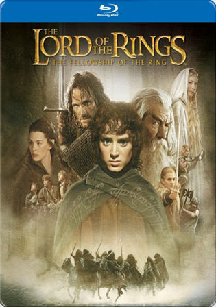 Lord of the Rings The Fellowship of the Ring 2001 BRRip 600MB Dual Audio 480p