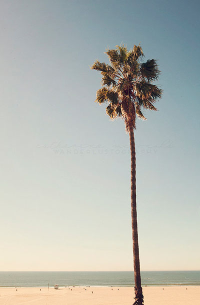 Lovely Clusters - Online Curator : California Dreaming - Photographic ...