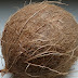 Compro Cocos pago 10 por Coco