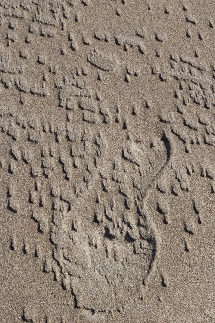 pocked male shoeprint in sand