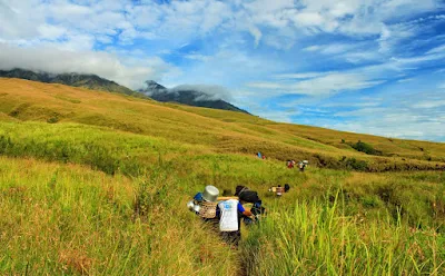 Persebaran Jenis Tumbuhan di Indonesia Barat, Tengah dan Timur