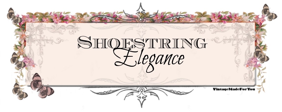 Shoestring Elegance