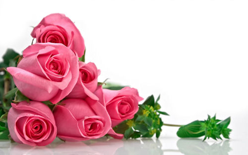 Fotos de rosas y arreglos florales para el 10 de Mayo