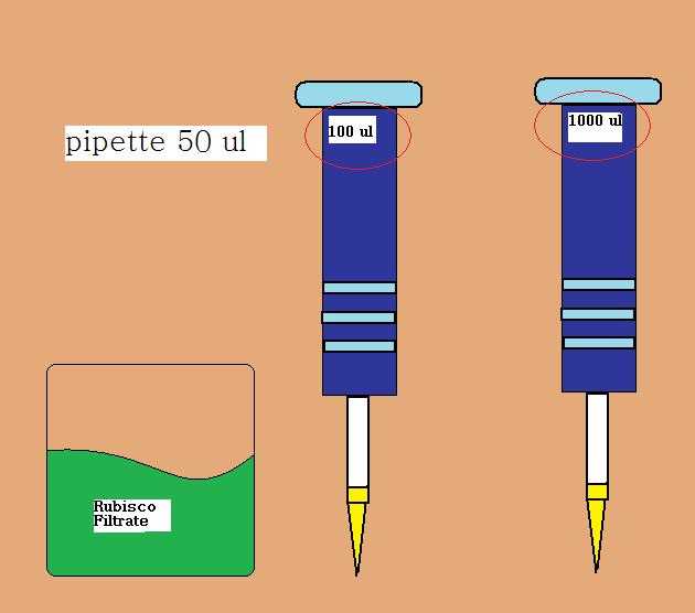 AMAZING Adipocytes Technique tips for pipetting