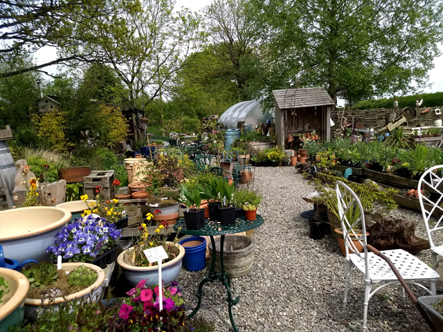 Plant nursery Shropshire Plant nursery Shropshire