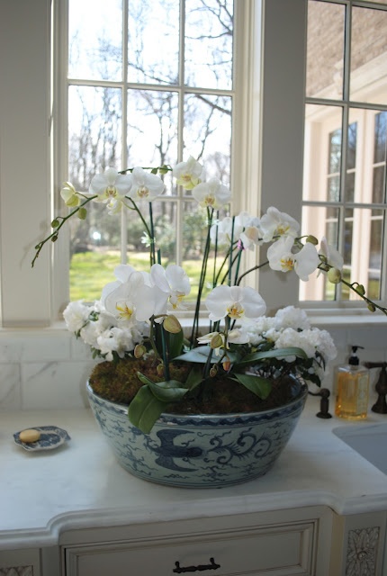 Chinoiserie Chic Blue And White Chinese Planters Photos Of Blue And White Chinese Porcelain Planters Used Indoors Out To Inspire You I Especially Love Orchids Palms Fiddle Leaf Figs