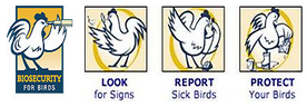 Avian Flu Diary: USDA: APHIS Update On Newcastle Disease Outbreak in