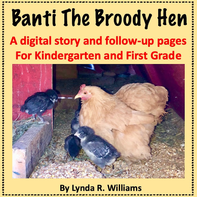 Life Cycle of a chicken unit
