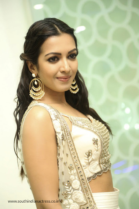 Catherine Tresa at Gautham Nanda success meet
