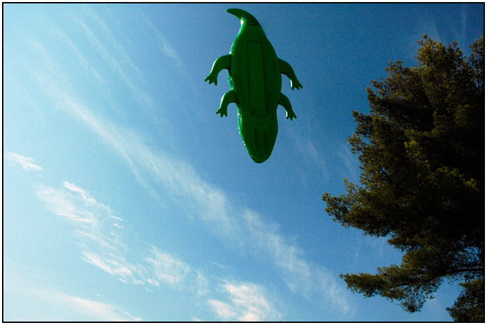 крокодил с крыльями. включи почему крокодилы не летают. игорь акимушкин книги. включи почему крокодилы не летают. крокодилы низко летают.